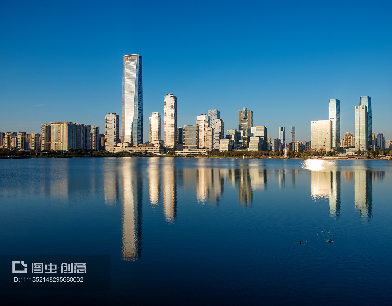 晨光中的深圳湾 后海天际线与城市发展交响曲